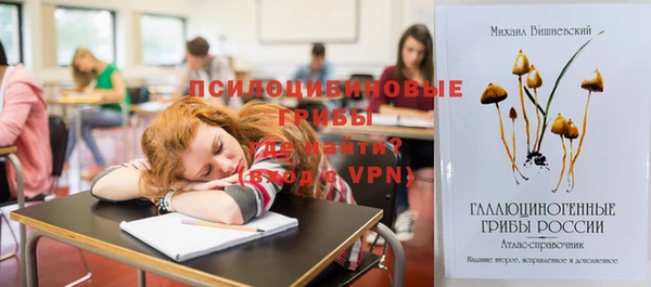 синтетический гашиш Бородино