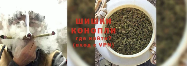 гашик Белоозёрский