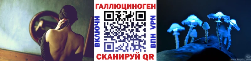 mega tor  Верхняя Пышма  Псилоцибиновые грибы мухоморы 