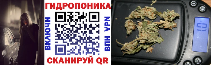 где продают наркотики  shop Telegram  Бошки Шишки ГИДРОПОН  Верхняя Пышма 